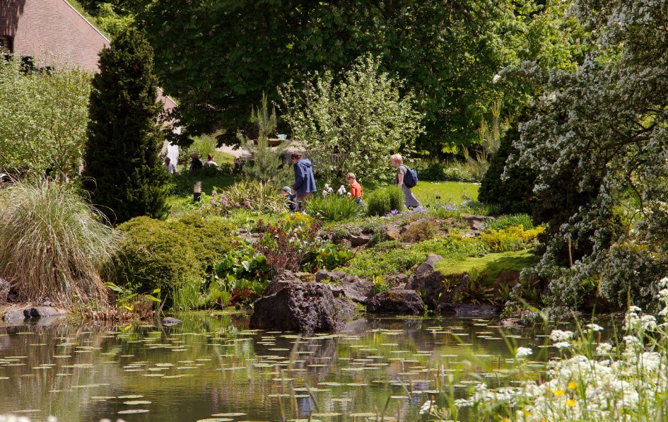 Utrecht Botanic Gardens, Netherlands